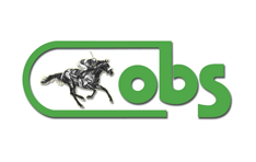 OBS